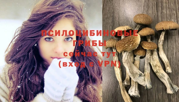 мяу мяу мука Верхнеуральск