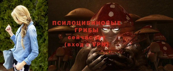 СК Володарск