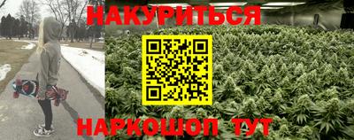 молекула духа Заводоуковск