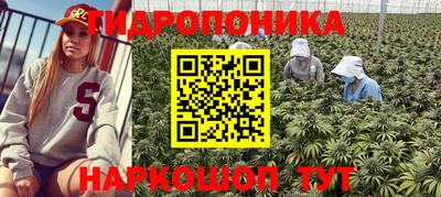 мяу мяу мука Заволжье