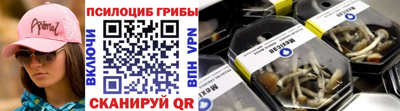 Псилоцибиновые грибы прущие грибы  гидра   Дмитров 