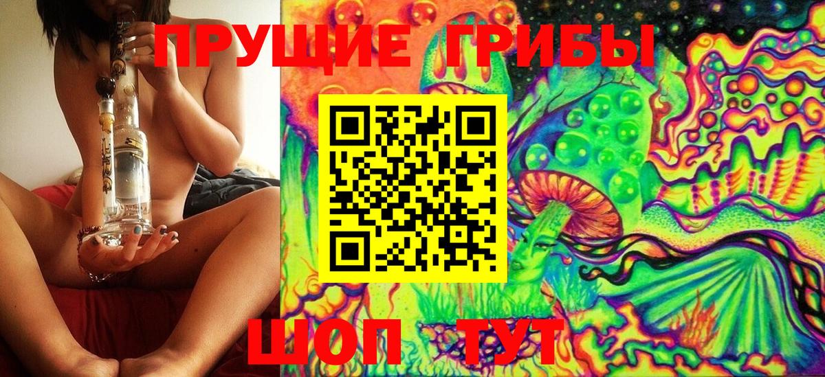 Псилоцибиновые грибы MAGIC MUSHROOMS Дмитров