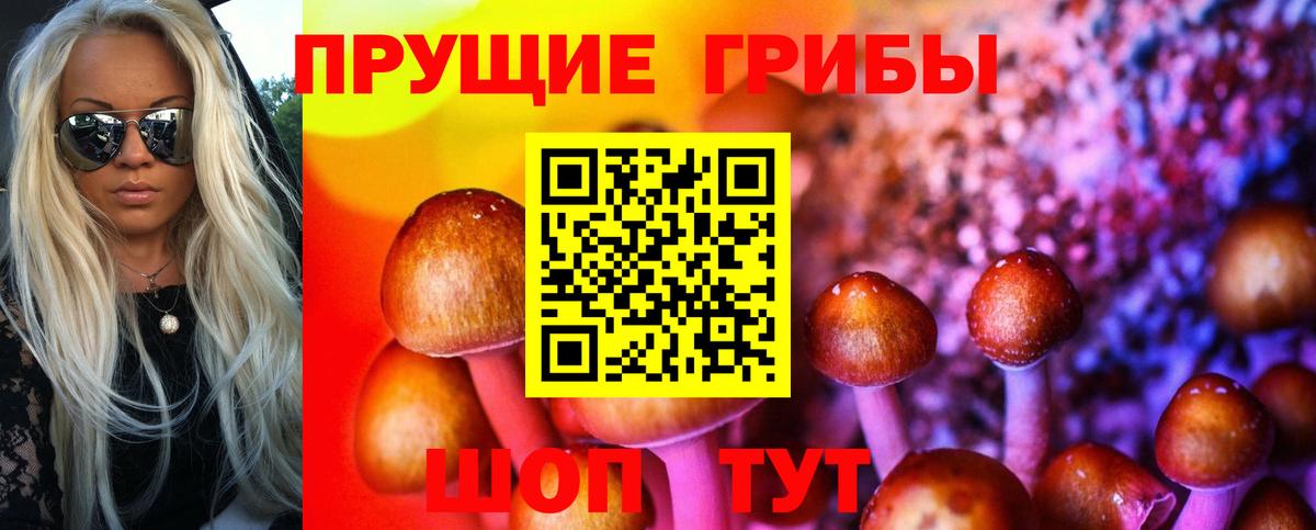 Галлюциногенные грибы Magic Shrooms  Псилоцибиновые грибы GOLDEN TEACHER  Дмитров  Вход с VPN 